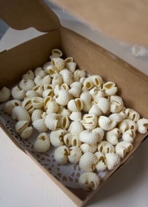 Ciao Box: Pasta Zani